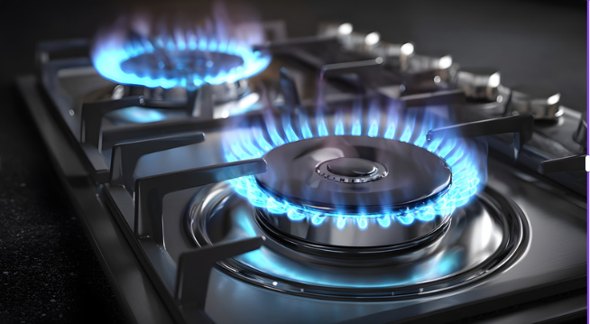 stainless steel 2 burner gas stove Bangladesh