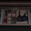 Tallsen Undergarments Organizer Price in Bangladesh